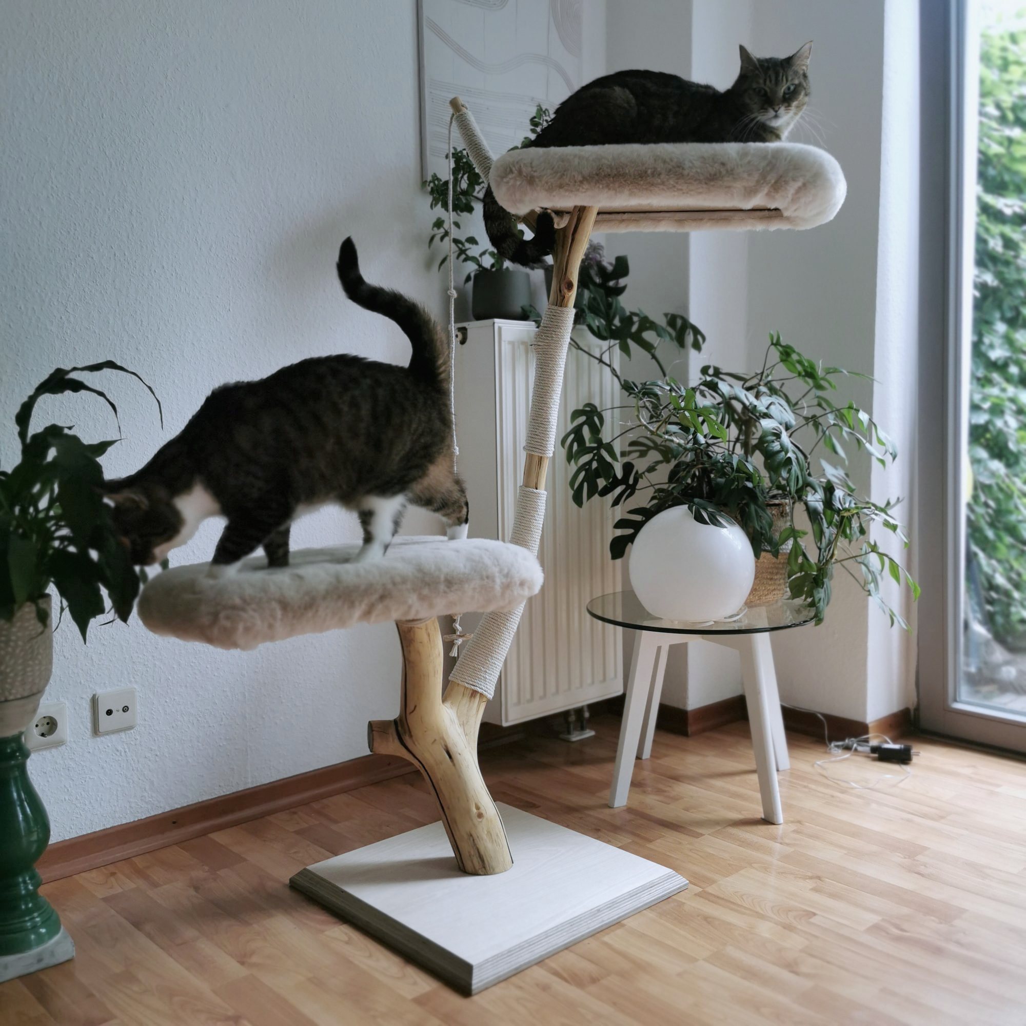 Beide Katzen auf dem fertigen Kratzbaum im Wohnzimmer