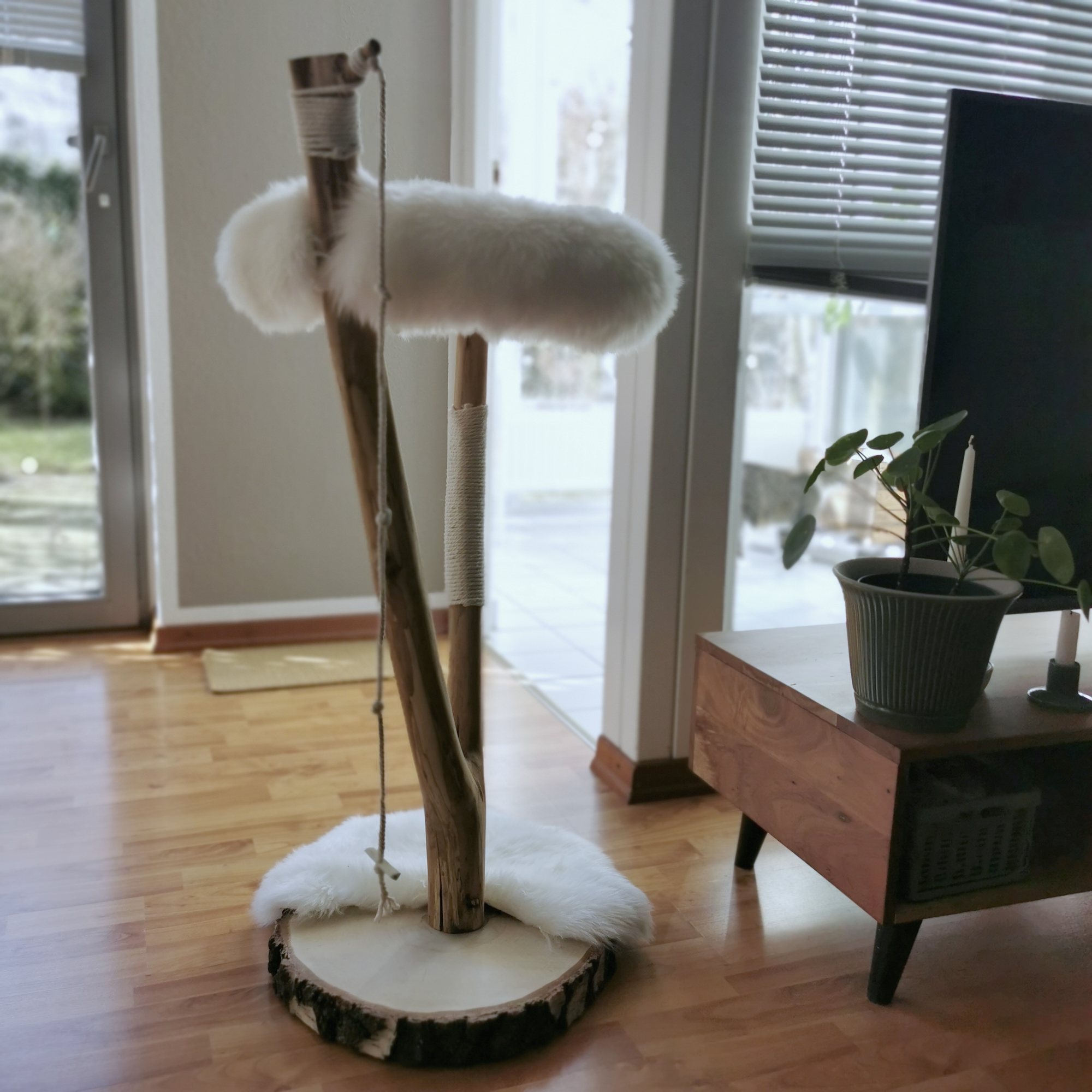 Der fertige Kratzbaum im neuen Zuhause